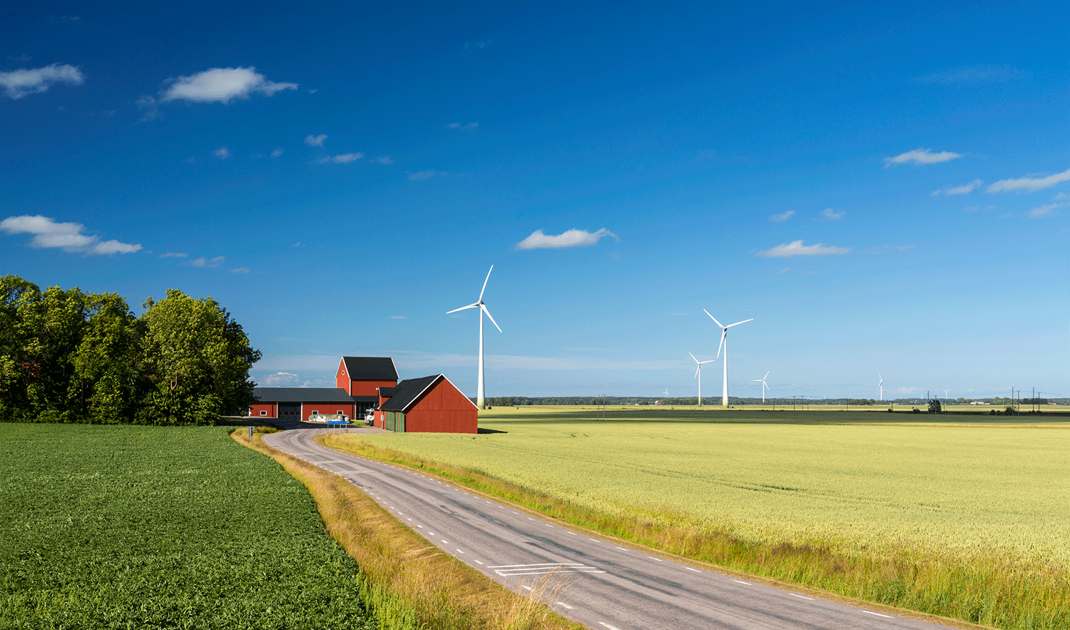 Fält med vindkraftverk